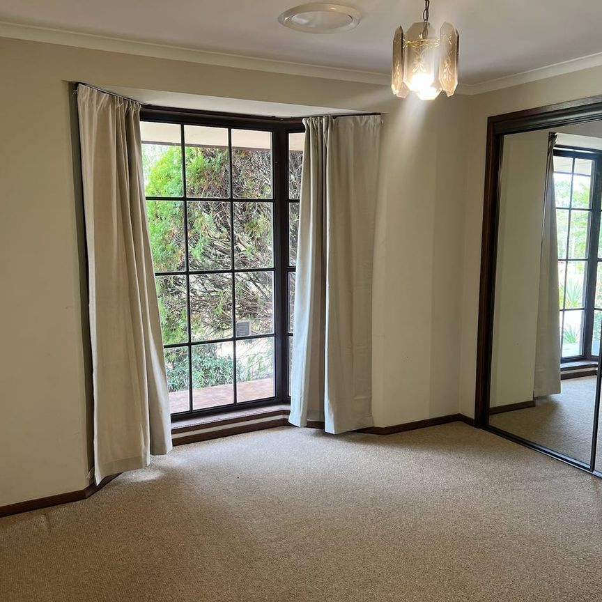 Only 2 on the Block - Photo 1