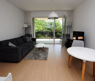 Super mieszkanie na Jarze z widokiem na las! - Фото 2