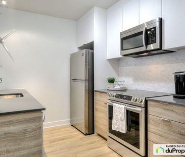1750 Cedar, Ville-Marie (Centre-Ville et Vieux-Montréal) à louer - Photo 2