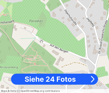 In den Radebeuler Weinbergen - Foto 1