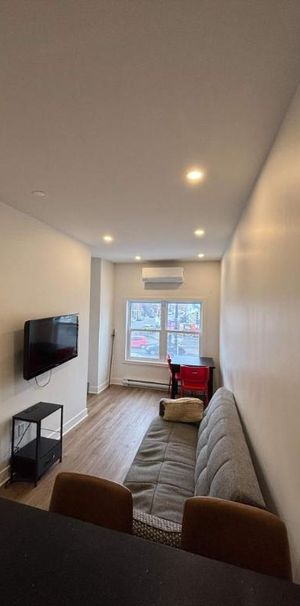 2 CH - 1 SDB - Montréal - $1,425 /mo - Photo 1