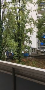 1 Zimmer, 28 m² - Photo 4