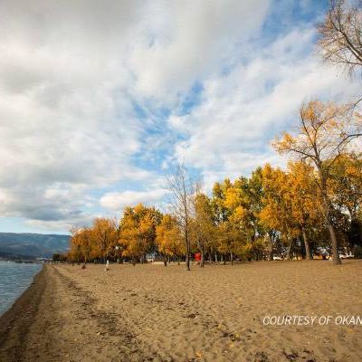 Recreation Room, 1 BD, Kelowna BC - Photo 1