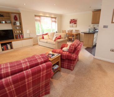 Conifer Avenue, Conifer Park - Photo 2