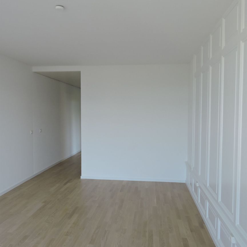 In the middle of the city of Bern! - Photo 1