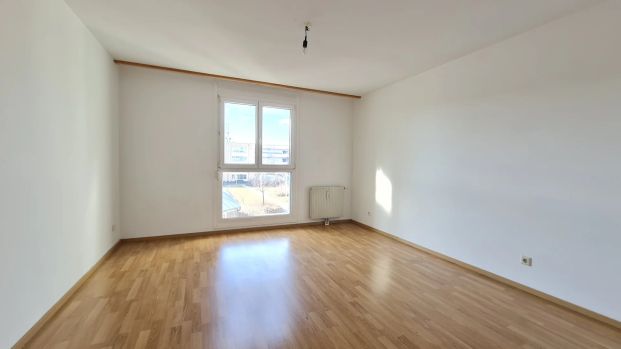 2 ZI Etagenwohnung + LOGGIA + LIFT - TRILLERPARK - GEFÖRDERTE Mietwohnung mit Finanzierungsbeitrag (EUR 23.800,43) - Photo 1