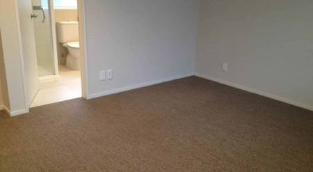 Flat Bush Stunner - Photo 2