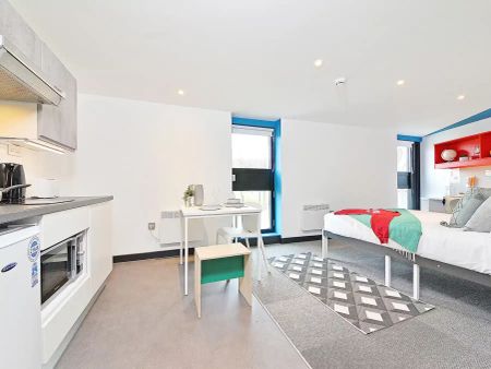 The Big Studio - Photo 4