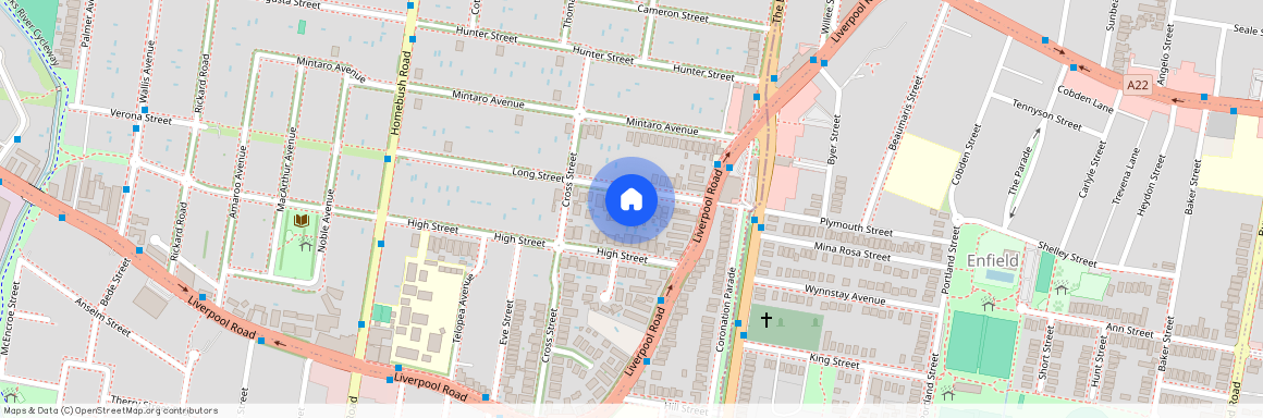 12 Long Street, NSW 2135, Strathfield