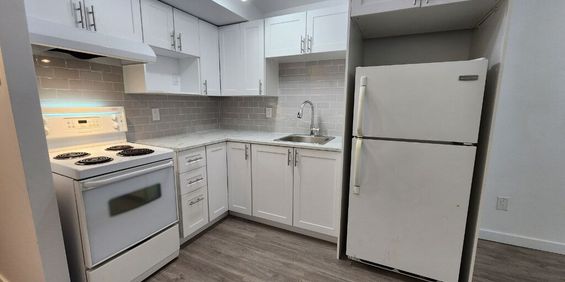 4 1/2 Sous-sol 6084 Avenue De Montmagny - Photo 3