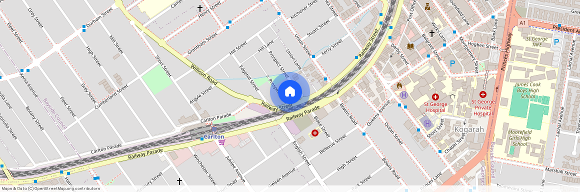 1A Prospect St, NSW 2218, Carlton