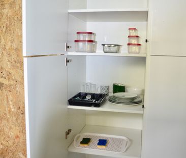 Colocation étudiantes aimant les animaux - Photo 2