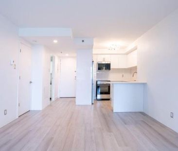 🏙️ Appartement 2 ch| UN MOIS GRATUIT | métro Atwater - Photo 4