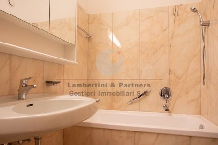 4 ½ Zimmer-Wohnung in Lugano mieten - Photo 2