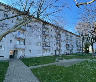 Grossbasel MFH Wasensträsschen - Foto 3