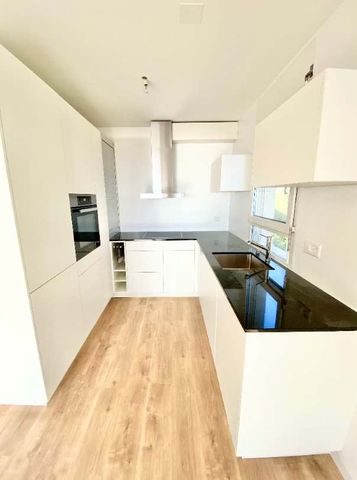 3.5 Zimmer, 75 m², 1. Stock - Foto 3