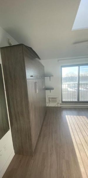 1 1/2 - Montréal (La Petite-Patrie) - 850 $/mois - Photo 1