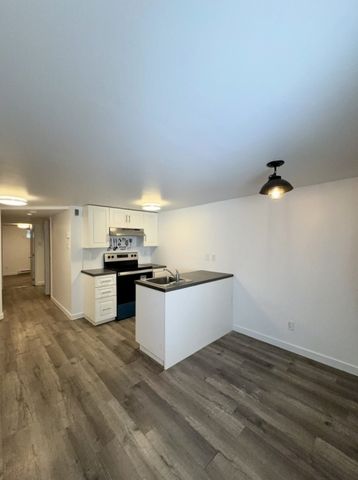 Nouveauté sur le marché Appartement à louer - Montréal (Mercier/Hochelaga-Maisonneuve) (Hochelaga-Maisonneuve) - Photo 3