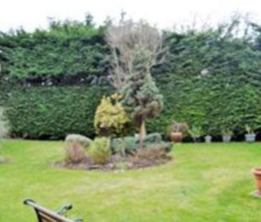 Studio to rent - Photo 6