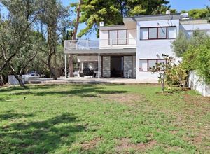 Μονοκατοικία για ενοικίαση - Μέγαρα, - Photo 2