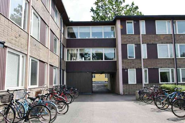 Flamman, Västanågatan 20.317 - Photo 1