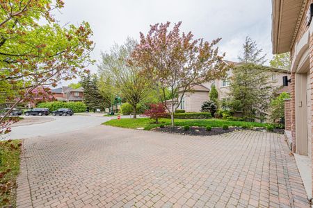 For Lease - 68 Direzze Court Unit# Bsmt, Richmond Hill, Ontario - Photo 3