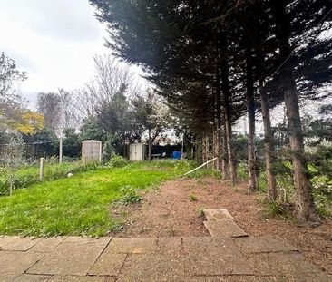 3 bedroom house to rent - Photo 5