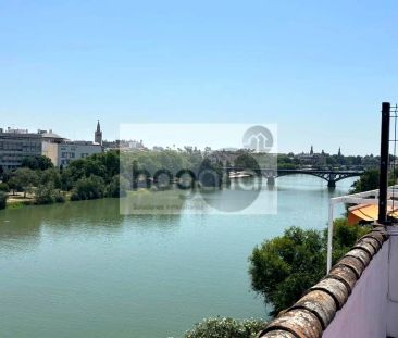 Sevilla - Foto 4