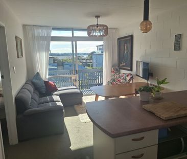 Fully Furnished Apartment sun drenched apartment - Photo 2