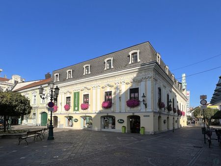 Elegante Wohnung mit großer Terrasse im Zentrum - Photo 5