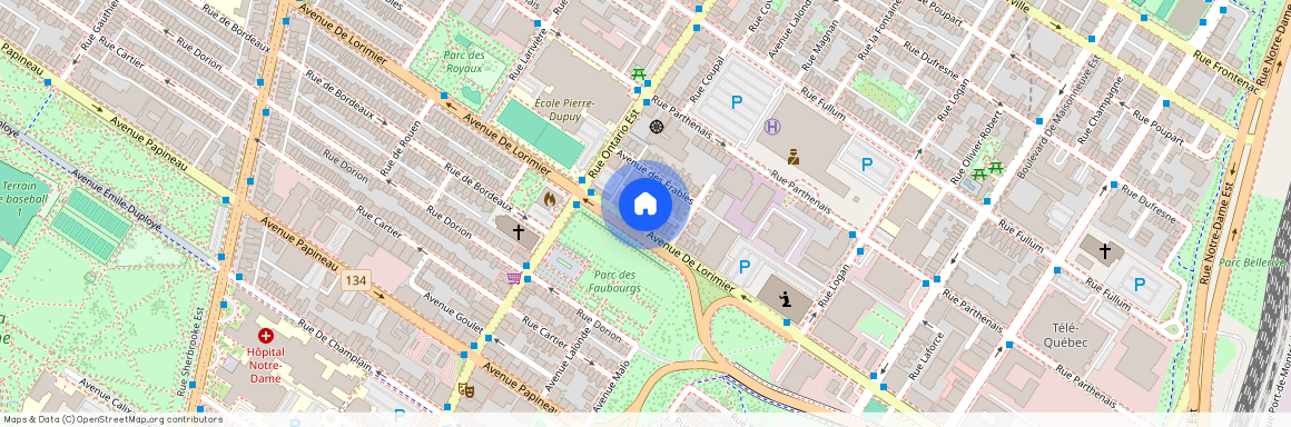 1901 Av. De Lorimier, app.1, H2K 3W8, Montréal (Ville-Marie) (Centre)