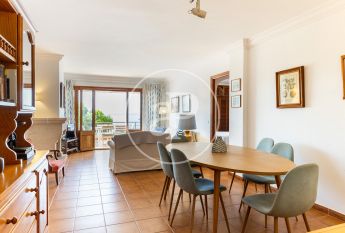 Flat for rent with Terrace in Port d’Alcúdia - Platja d'Alcúdia (Alcúdia)