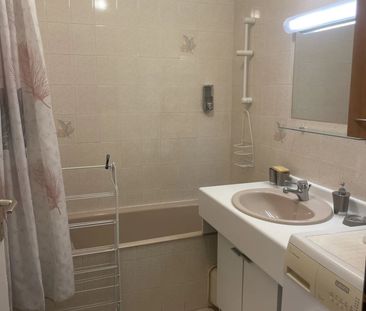 Location Appartement 3 pièces 60m² SALLANCHES 74700 - Photo 6