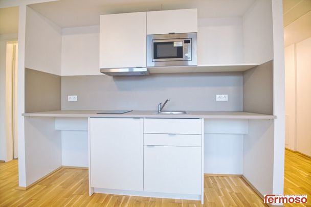 möblierte Apartments zur Kurzzeitmiete (2-12 Monate) / furnished apartments for short-term rental (2-12 months) - Photo 1