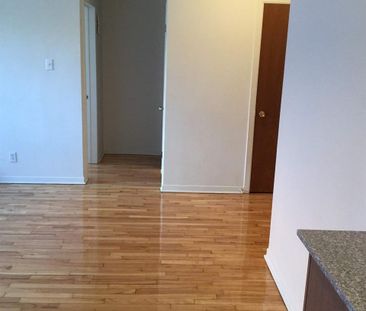 1 CH - 1 SDB - Montréal - $1,200 /mo - Photo 3