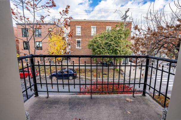 Appartement à louer - Montréal (Rosemont/La Petite-Patrie) (La Petite-Patrie) - Photo 1