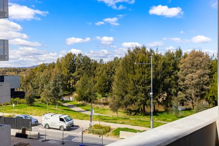 212/335 Anketell Street, Greenway ACT 2900 - Apartment For Rent | Domain - Photo 3