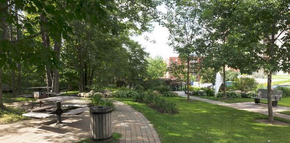 3 1/2 Ste-Foy - IMMEUBLE DE PRESTIGE - février 2026 - Photo 2