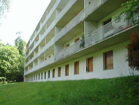 Location Appartement 1 pièce 25m² OLIVET 45160 - Photo 3