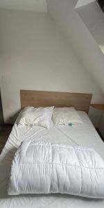 Location Appartement 2 pièces 24m² ST SAULVE 59880 - Photo 3