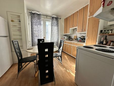 5060 Rue Parthenais, app.1, H2H 2A3, H2H 2A3, Montréal - Photo 5