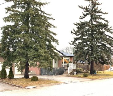 For Lease - 385 Marybay Crescent Unit# Basement #2, Richmond Hill, ... - Photo 3