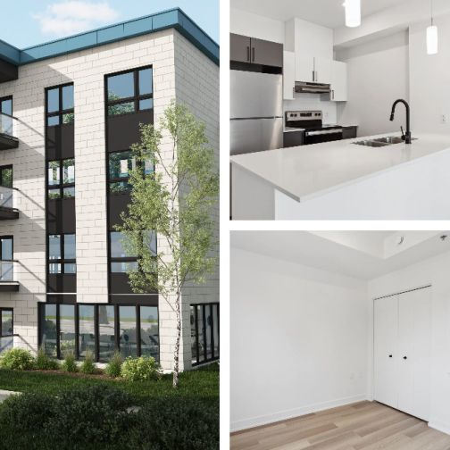 ✨ 3 ½ – 1 Chambre – À Partir De 1430$ TO - Photo 1