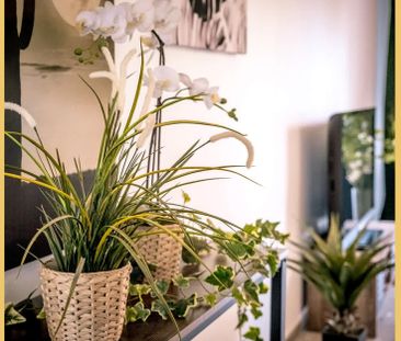 Avenue de Genève - Photo 1