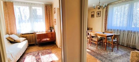 Słoneczne 4 pokoje do wynajęcia blisko Żabieńca - Photo 2