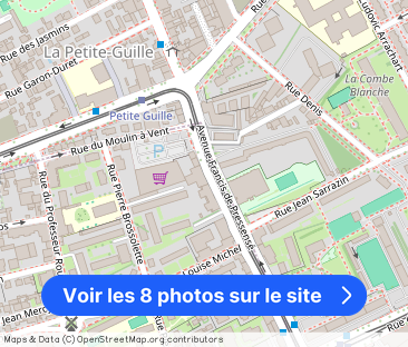 Avenue Francis de Pressensé, Lyon - Photo 1