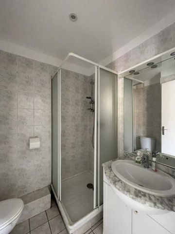 APPARTEMENT T1 A LOUER A ROANNE - MULSANT - Photo 5