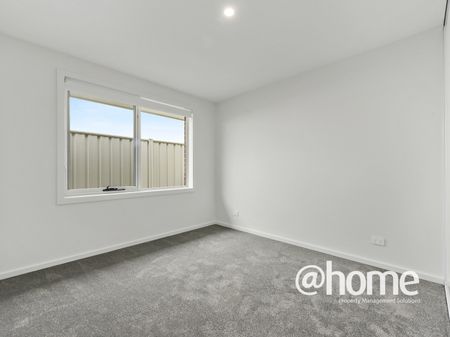 New For You! - Photo 3