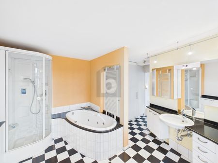 LARGE TERRACE, WITH STYLISH KITCHEN AND BATHROOM - Photo 4