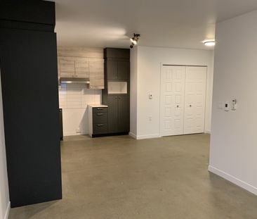 3630-102 rue Imelda-Lefebvre, Sherbrooke, Libre pour Janvier 2026 - Photo 5